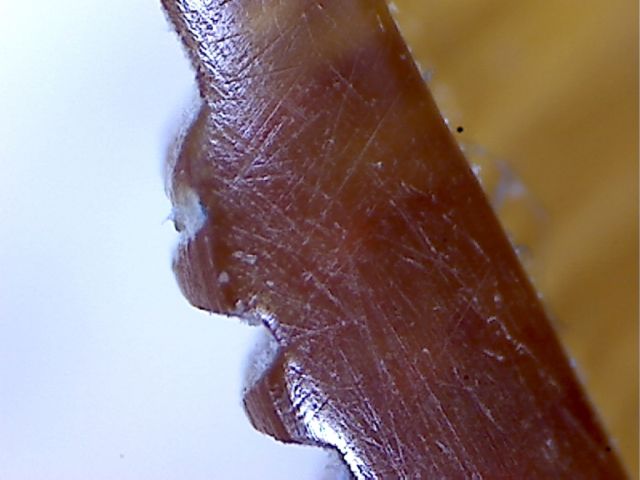 Cross-Section of Ambered Sheaffer Section Plastic